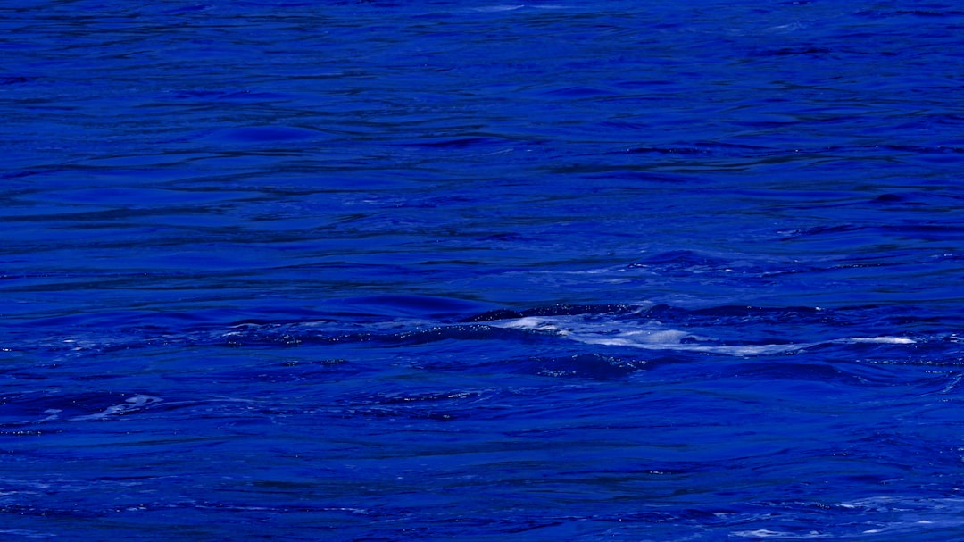 Docker nedir? Konteyner Teknolojisi Başlangıç ​​Kılavuzu 2025 .