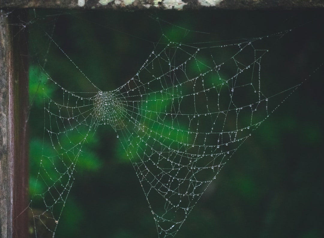 Kubernetes Service Mesh: Istio ile Mikroservis Yönetimi