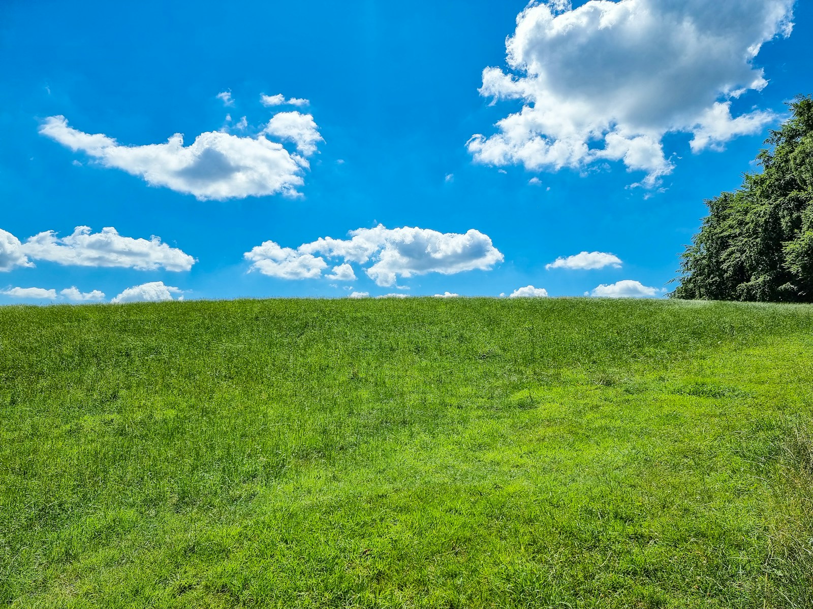 a grassy field under a blue sky with clouds — Azure Cosmos DB: Genel Olarak Dağıtılmış NoSQL Veritabanı